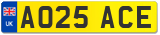 AO25 ACE
