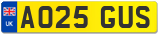 AO25 GUS