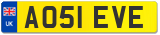 AO51 EVE
