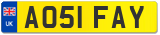 AO51 FAY