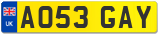 AO53 GAY