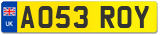 AO53 ROY