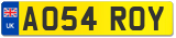 AO54 ROY