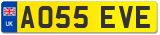AO55 EVE