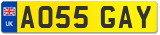 AO55 GAY