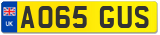 AO65 GUS