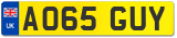 AO65 GUY