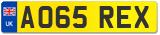 AO65 REX