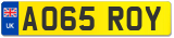 AO65 ROY
