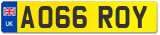 AO66 ROY