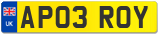 AP03 ROY