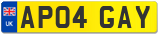 AP04 GAY