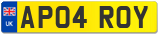 AP04 ROY