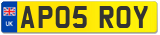 AP05 ROY