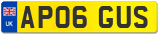 AP06 GUS