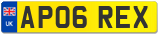 AP06 REX
