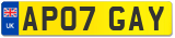 AP07 GAY