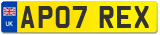 AP07 REX