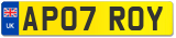 AP07 ROY