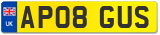 AP08 GUS