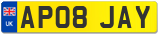 AP08 JAY