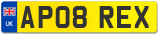 AP08 REX
