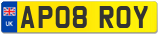 AP08 ROY