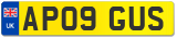 AP09 GUS