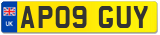 AP09 GUY