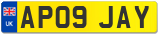 AP09 JAY