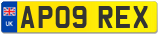 AP09 REX