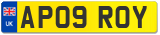 AP09 ROY