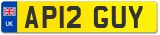 AP12 GUY