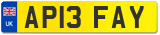 AP13 FAY