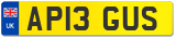 AP13 GUS