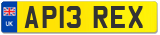 AP13 REX