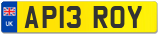 AP13 ROY