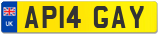 AP14 GAY