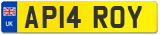 AP14 ROY