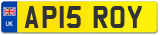 AP15 ROY