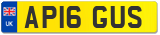 AP16 GUS
