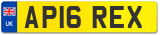 AP16 REX