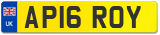 AP16 ROY