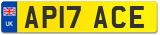 AP17 ACE