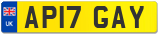 AP17 GAY