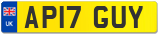 AP17 GUY