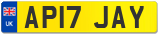 AP17 JAY