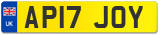 AP17 JOY