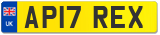 AP17 REX