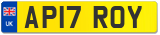 AP17 ROY